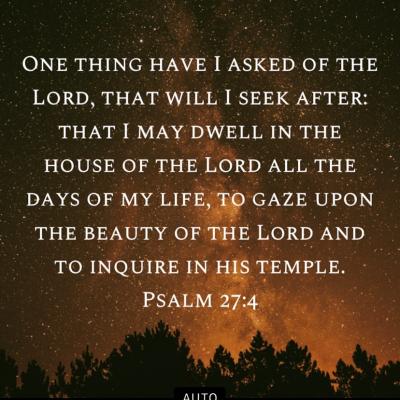 120015182 3358932877516477 9121425910926775326 N